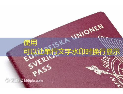 进入汉德欧移民官网